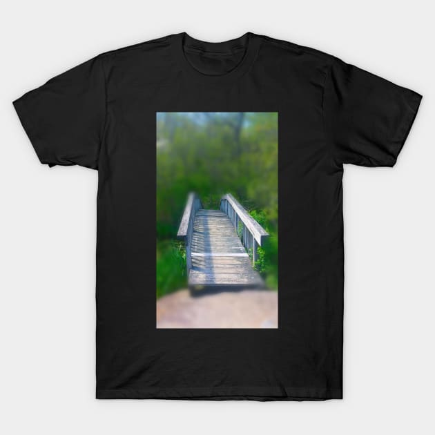 Bridge T-Shirt by teenamarie23art